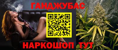 гашик Будённовск
