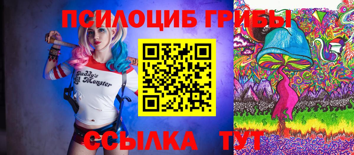 Галлюциногенные грибы Psilocybine cubensis  Вход с VPN  Маркс 